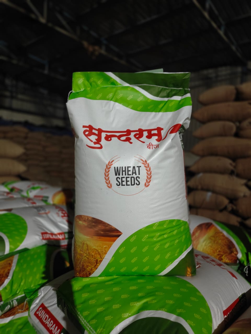 गोदाम में रखे सुन्दरम् गेहूँ बीज के बैग